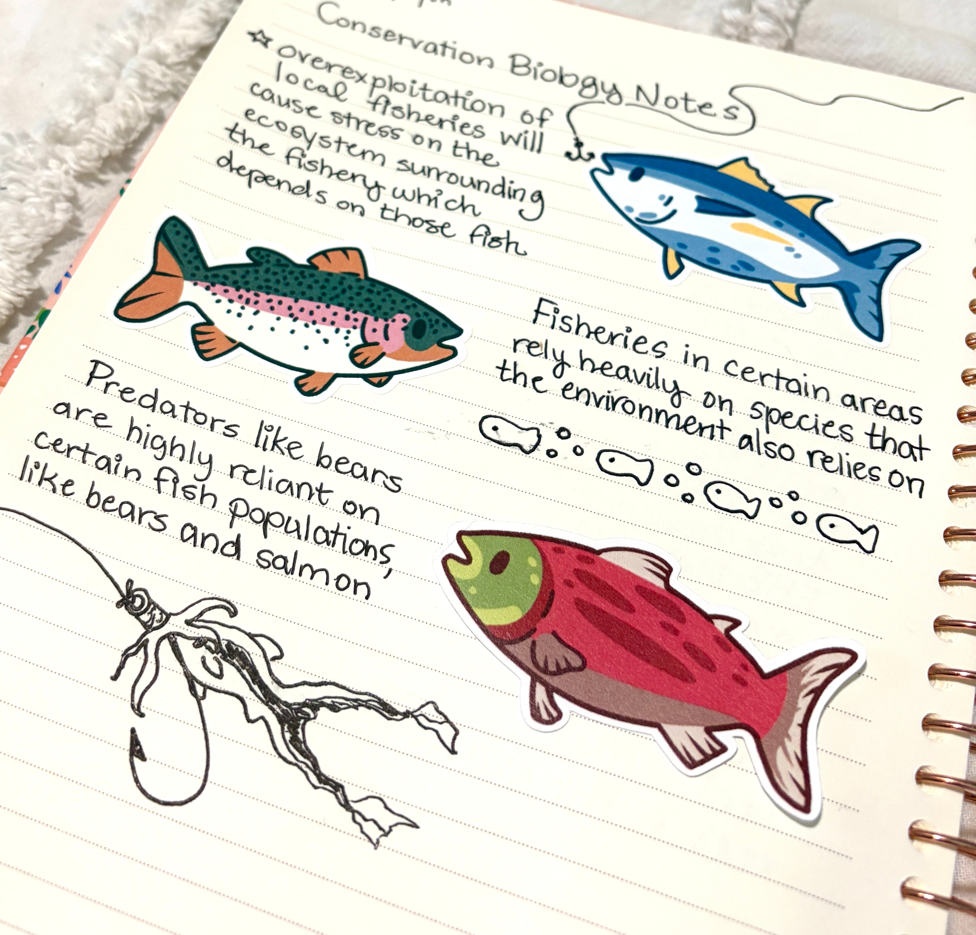 fish sticker bundle (x3 stickers)