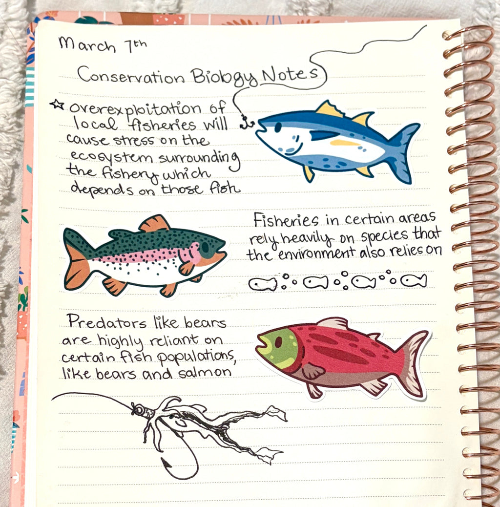 fish sticker bundle (x3 stickers)