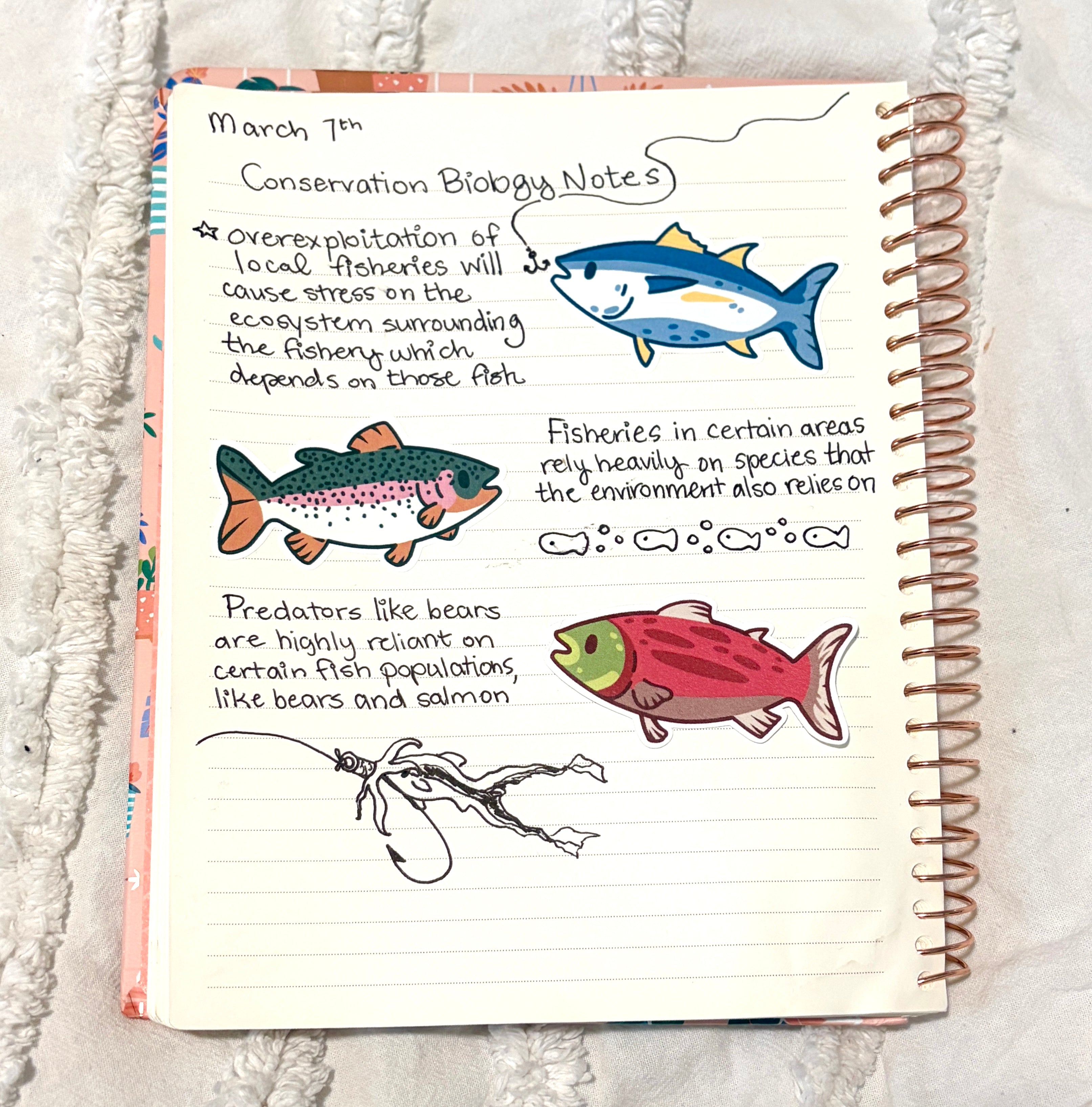 fish sticker bundle (x3 stickers)