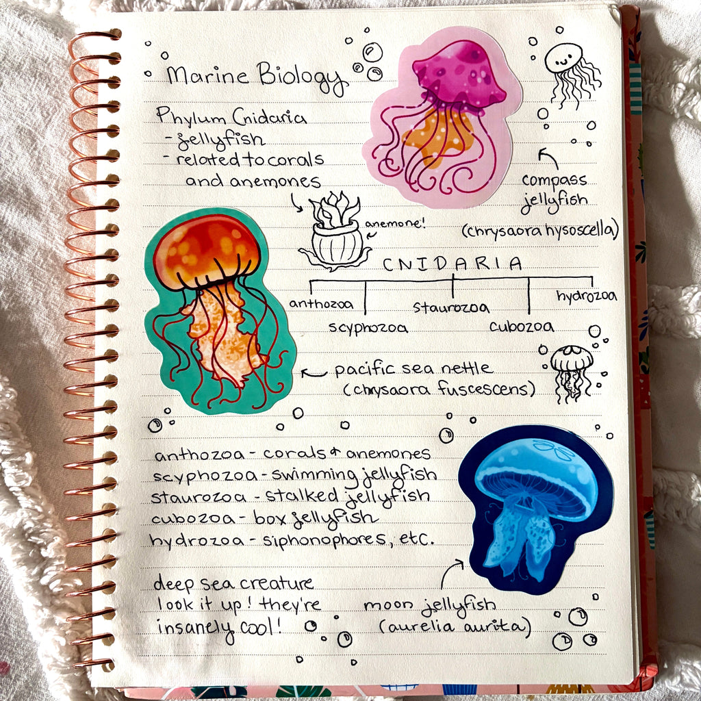 blue jellyfish sticker x3