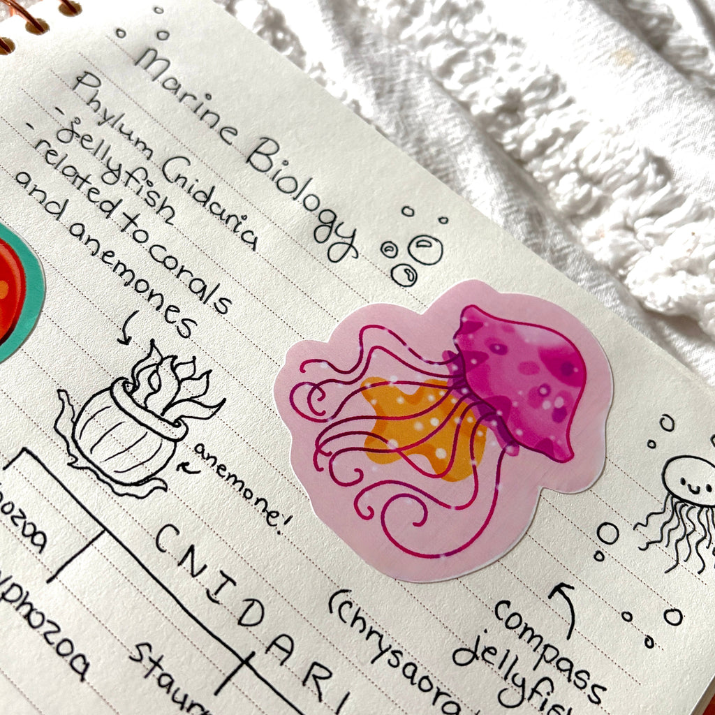 pink jellyfish sticker x3