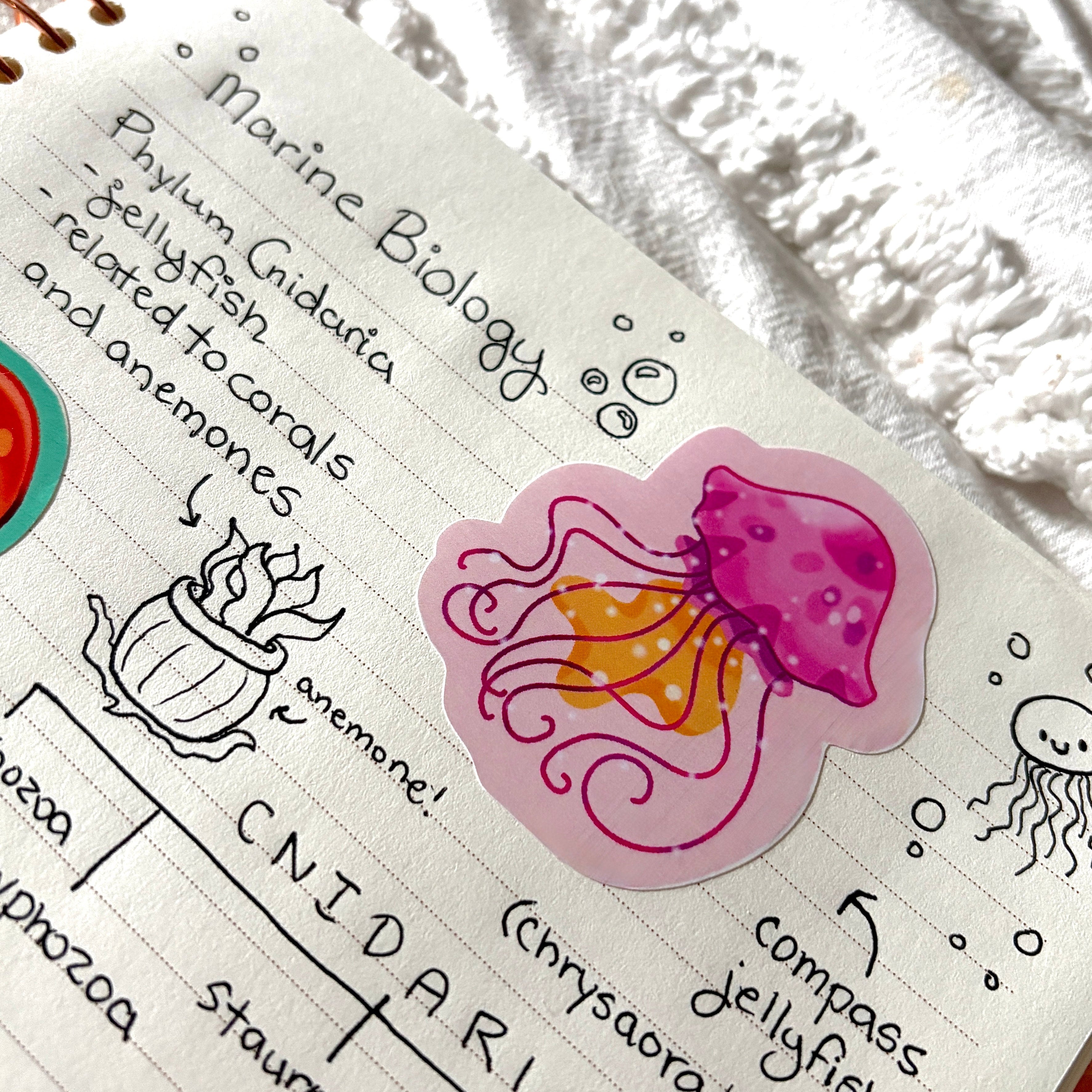 pink jellyfish sticker x3