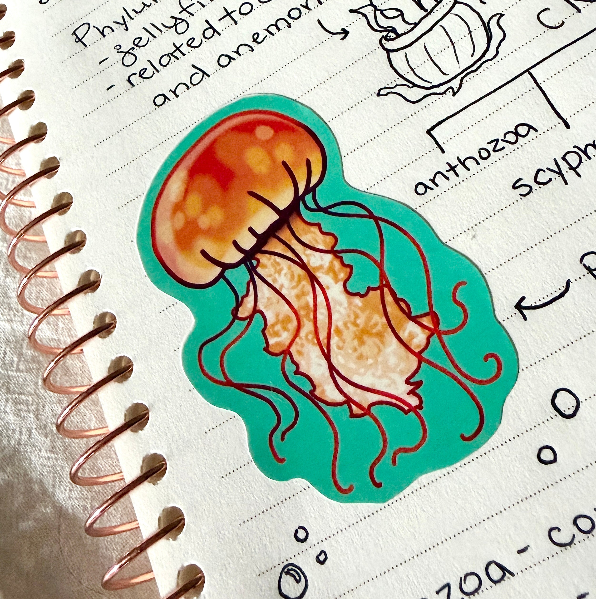 orange jellyfish sticker x3