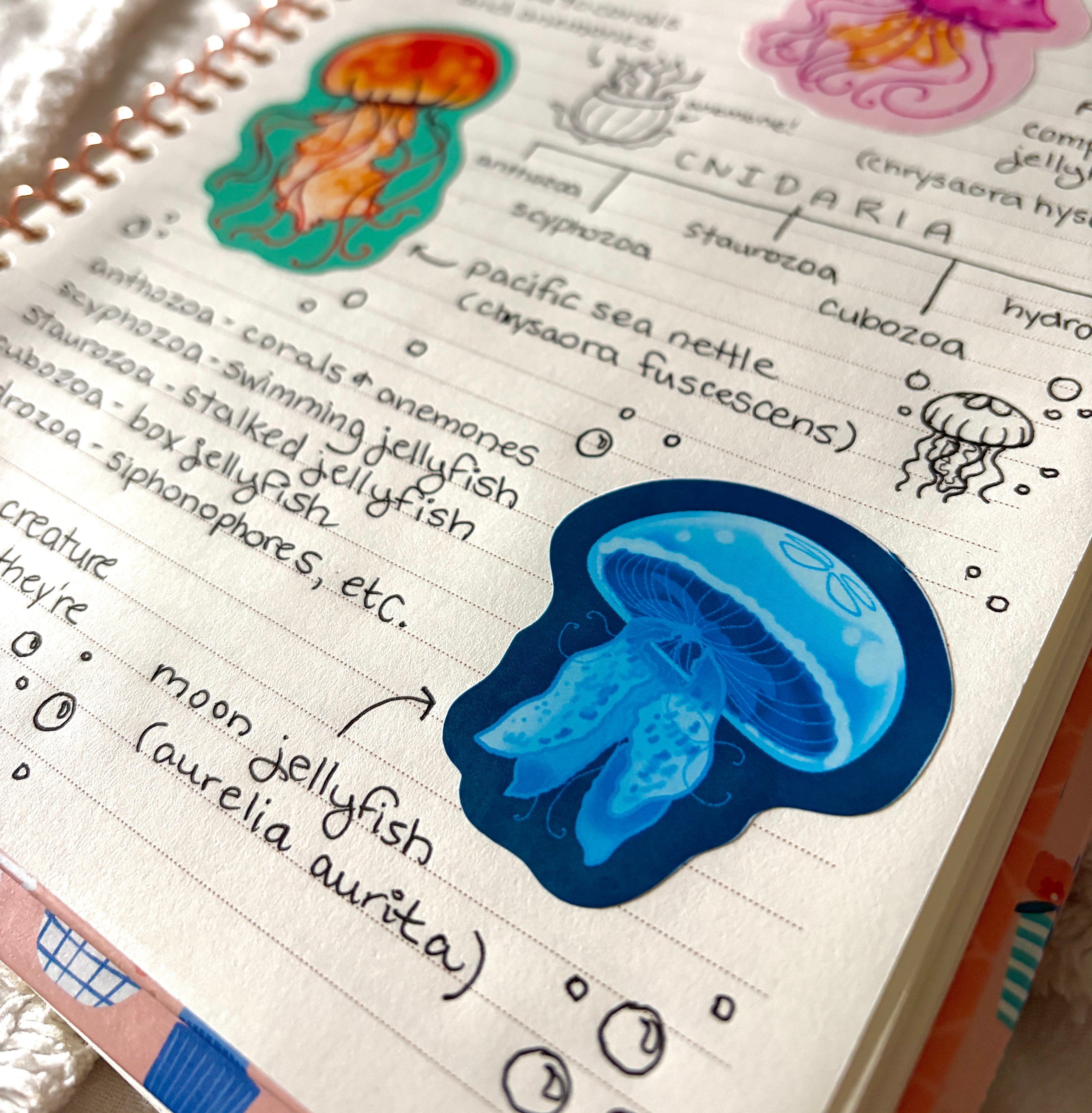 blue jellyfish sticker x3